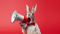 Rabbit with megaphone