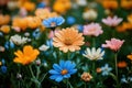 An enchanting image of a field covered in a diverse array of spring flowers.