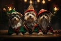 An enchanting image of pets dressed as Santa\'s elves.