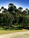 Beautiful landscape of nature of Urubici