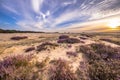 Enchanting landscape scenery of heathland