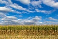 Enchanting landscape on threshed corn field and cloudy sky Royalty Free Stock Photo