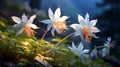 Enchanting Lighting: Realistic Depiction Of Columbine Flowers Under The Sun