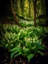 Enchanting Lily of the Valley in a Magical Forest. Generative AI