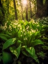 Enchanting Lily of the Valley in a Sunlit Fairy Forest. Generative AI