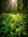 Enchanting Lily of the Valley in a Sunlit Fairy Forest. Generative AI