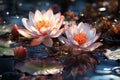 Enchanting lotus blooms atop shimmering waters, a magical aquatic wonder