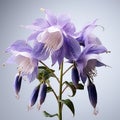 Enchanting Macro Photograph Of Columbine Meadow Sage