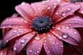 Enchanting macro view flower portrait adorned with delicate water droplets