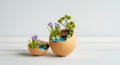Enchanting miniature gardens inside eggshells with flowers and trees Royalty Free Stock Photo