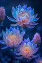 Enchanting Neon Blue and Purple Lotus Flowers Blooming, Exotic Botanical Beauty, Tranquil Floral Background for Meditation and