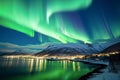 The Enchanting Northern Lights in Norway