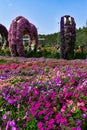 The Enchanting Oasis: Dubai Miracle Garden Unveils Nature\'s Miracles