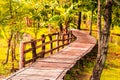 Enchanting Pathways: A Wooden Trail through the Green Summer Forest Park