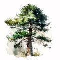 The Enchanting Pines: A Watercolor Painting of a Dreamy Pine Forest AI Generated Royalty Free Stock Photo