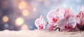 Enchanting pink orchid on right side, isolated with magical bokeh backdrop, ample copy space on left