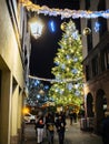 Enchanting Place Kleber Christmas Tree