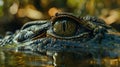 enchanting portrayal of a crocodile eye in stunning macro closeup, wildlife encounter Royalty Free Stock Photo