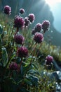 Enchanting Purple Blooms: A Stunning Sight in the Himalayan Land