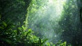 Enchanting rainforest wildlife mossy trees, crawling vines, tropical birds, sunlight, dew drops