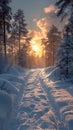 Enchanting Siberian Sunset: A Winter Wonderland Adventure Royalty Free Stock Photo