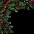 Green Christmas tree branches with cones and berries on black background