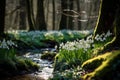 Enchanting Snowdrops forest violet blossom. Generate Ai Royalty Free Stock Photo