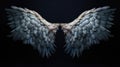 Intricate and otherworldly fantasy wings