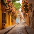 Enchanting streets of Cartagena