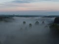 Enchanting Sunrise Mist Over Majestic Forest