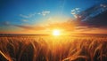 Enchanting sunrise over serene countryside with vibrant wheat fields and clear blue sky