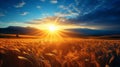 Enchanting sunrise over serene countryside with vibrant wheat fields and fluffy clouds