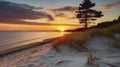 The Enchanting Sunset Over the Sandy Shores of a Baltic Sea Island. Generative AI