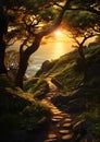 Enchanting Sunset: A Romantic Journey Along the Golden Path to a