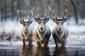 Enchanting symmetry as three reindeer gather by a frozen pond, christmas background, AI Generated
