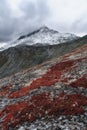 Enchanting tundra and its snow-capped mountains. Red plants grow at the foot. Royalty Free Stock Photo