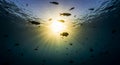 Underwater Sun Rays and Silhouetted Fish Royalty Free Stock Photo