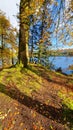 Enchanting Views of Lake Vyrnwy - Welsh Natural Splendor Royalty Free Stock Photo