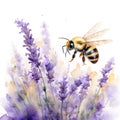 Enchanting Watercolor Bee Buzzing Over Lavender Fields AI Generated