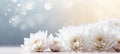 Enchanting white chrysanthemum on right side with magical bokeh background and ample text space