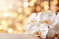 Enchanting white orchid on captivating bokeh background, ideal for text placement on left side