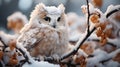 Enchanting Winter Forest with Baby Owl AI Generated