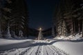 Enchanting Winter Wonderland A Captivating Christmas Scene.AI Generated