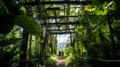 Enchanting Zip-lining Adventure through Lush Tropical Canopy