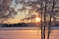 Beautiful and chilly winter day in LuleÃÂ¥ Royalty Free Stock Photo