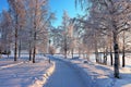 Beautiful and chilly winter day in LuleÃÂ¥ Royalty Free Stock Photo