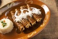Enchiladas de Nole Poblano Mexico cuisine Royalty Free Stock Photo