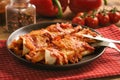 Enchiladas - mexican food, tortilla with chicken, cheese and tomatoes.