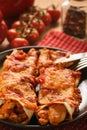 Enchiladas - mexican food, tortilla with chicken, cheese and tomatoes. Royalty Free Stock Photo