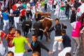 Encierro - Running of the Bulls Royalty Free Stock Photo